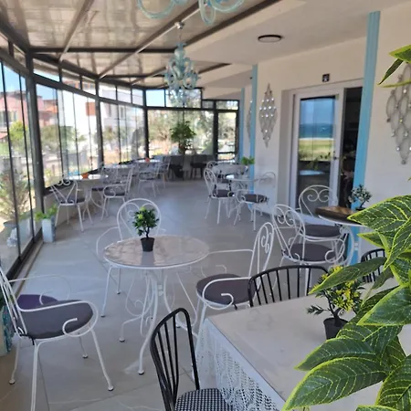 Harmony Blue * Pelitkoy