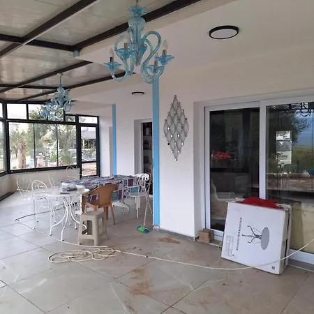 Harmony Blue * Pelitkoy