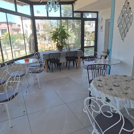 Harmony Blue * Pelitkoy