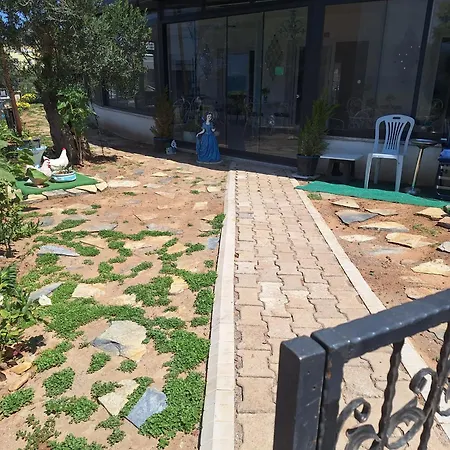 Harmony Blue Pelitkoy
