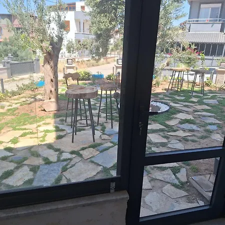 Harmony Blue Pelitkoy