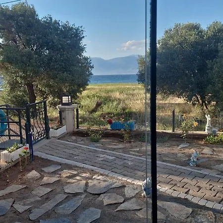 Harmony Blue * Pelitkoy
